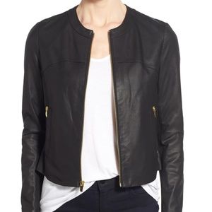 Lambskin Leather & Knit Jacket